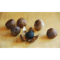 Chinese Good-Quality Single Clove Black Garlic